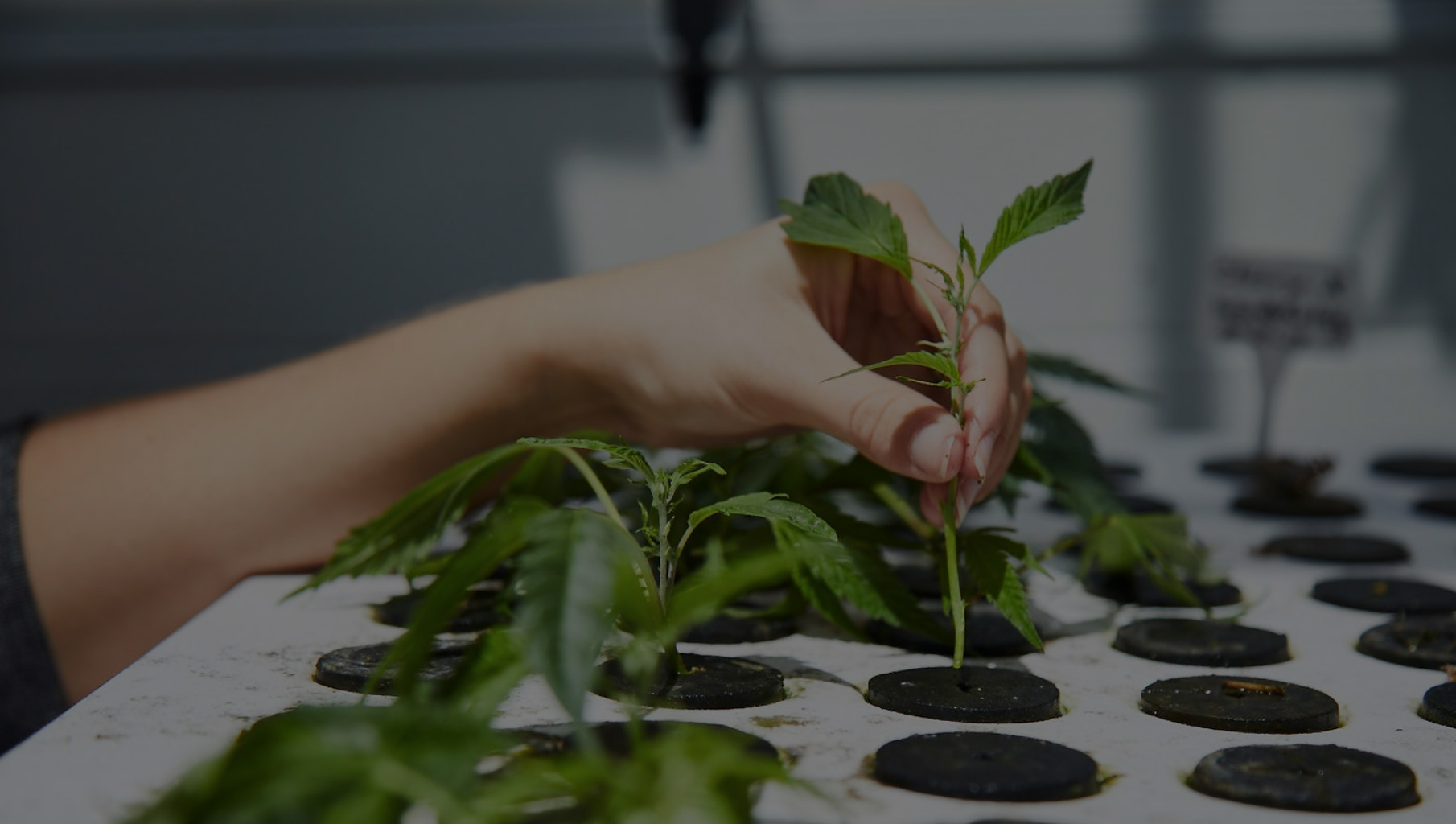 botanical science - faqs