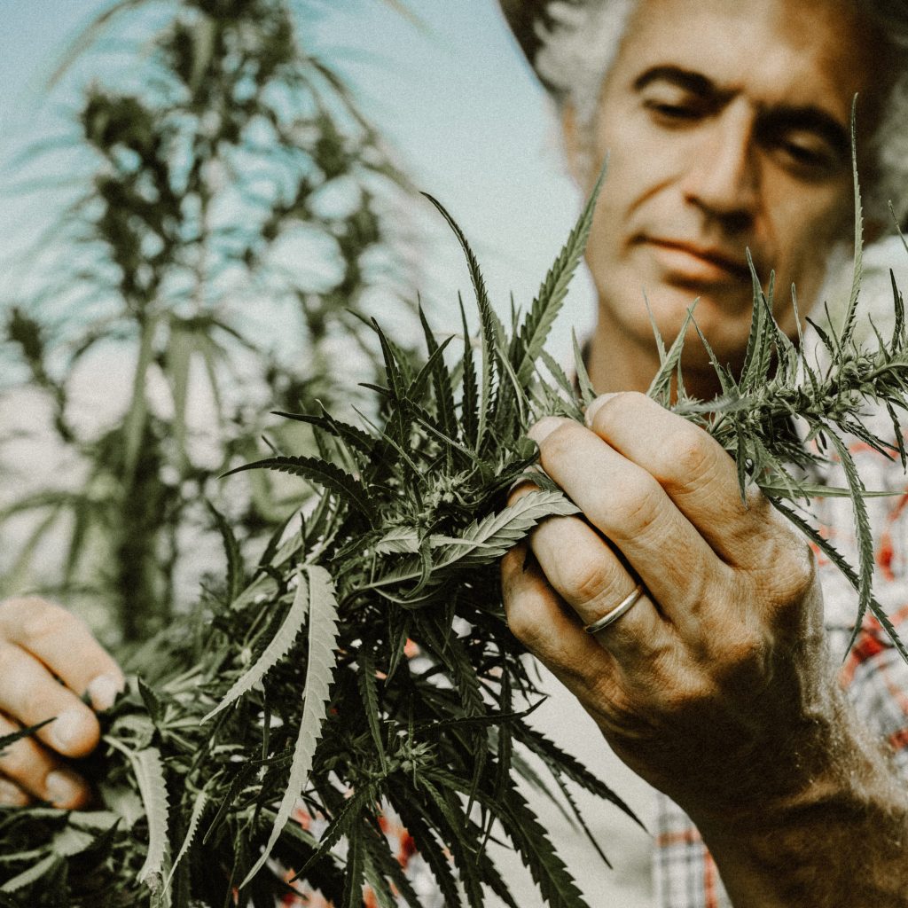 Farmer-Farming-Hemp-CBD-History