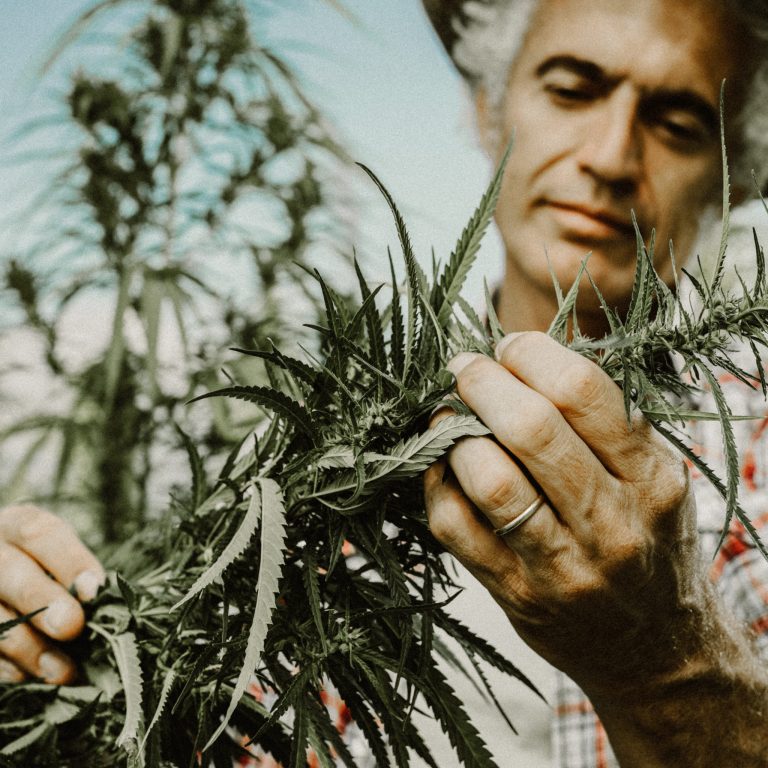 Farmer-Farming-Hemp-CBD-History