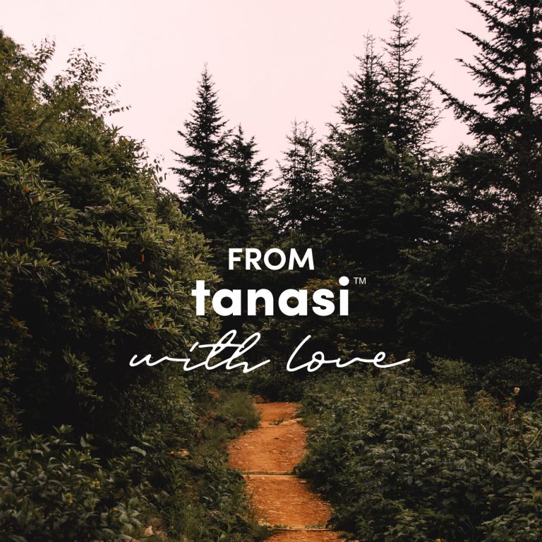 find your next adventure