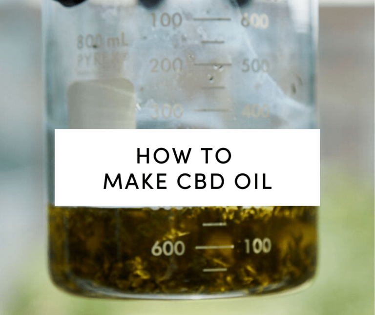 CBD Plant in Beaker