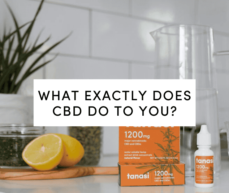 what does cbd do to you with water soluble on countertop