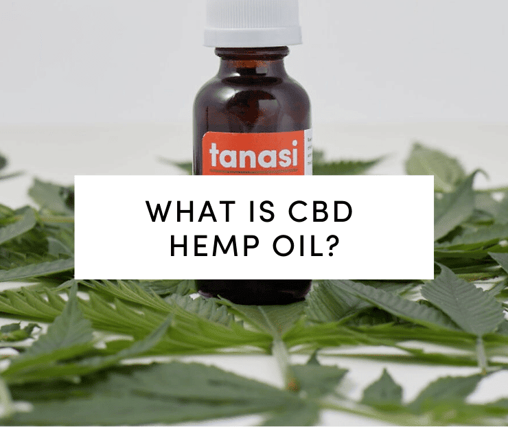 Tanasi CBD Tincture on hemp leaves