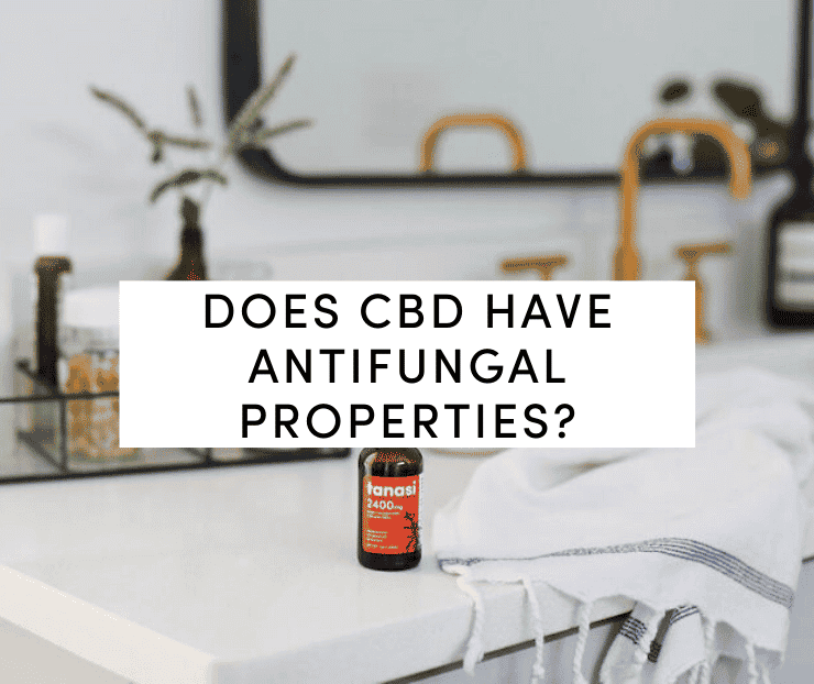 CBD tincture on bathroom countertop