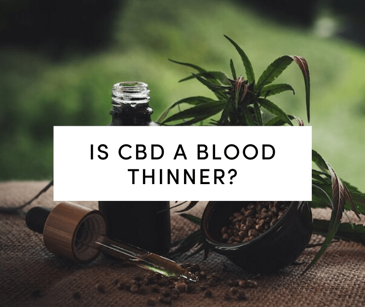 CBD oil and hemp plant