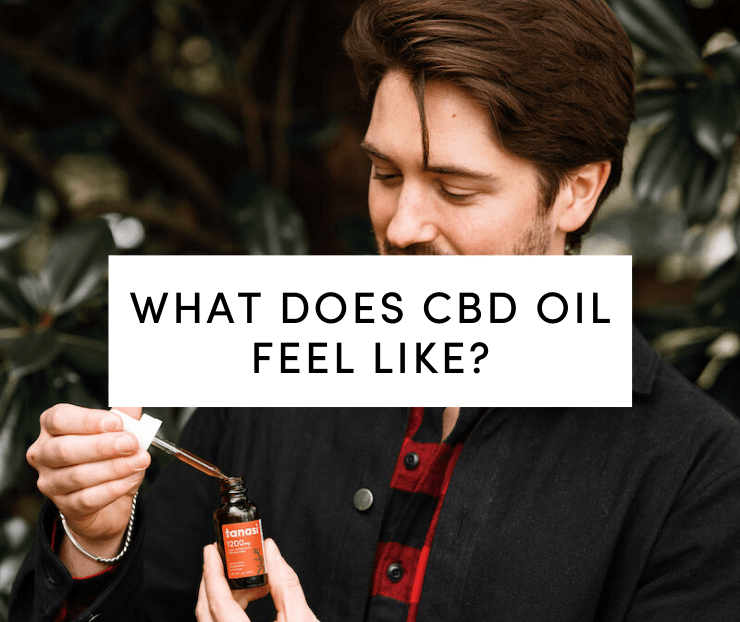 what does cbd feel like