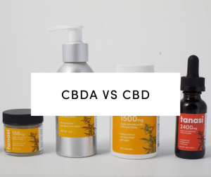 cbda vs cbd