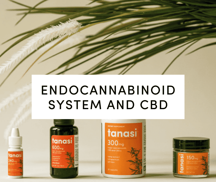 Tanasi CBD water soluble, tincture, capsules, and salve with plant in background