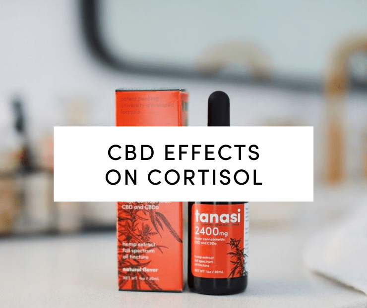 CBD Effects on Cortisol: CBD tincture on countertop