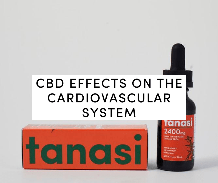 CBD Effects on the Cardiovascular System: Tanasi CBD Tincture