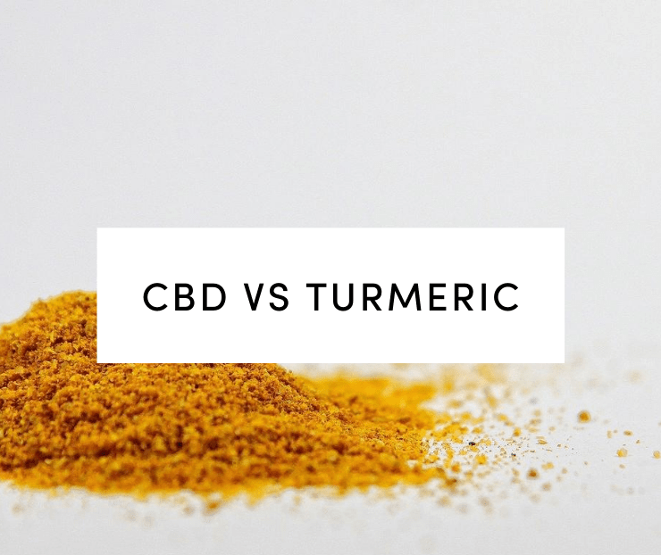 Loose turmeric spice on white background
