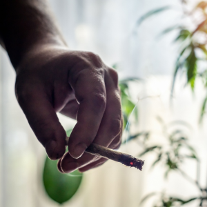 hemp effects on lungs