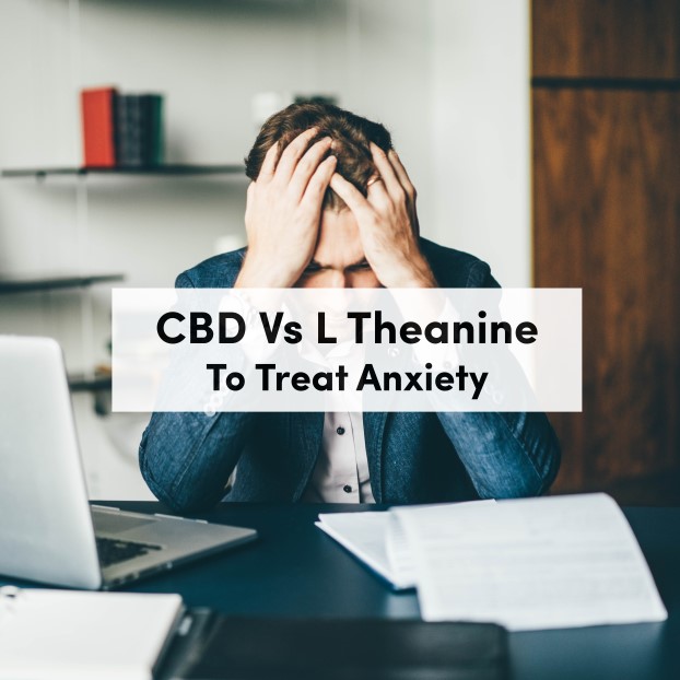 CBD Vs L Theanine