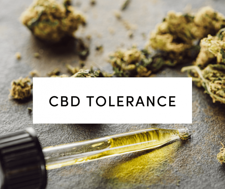 cbd tolerance