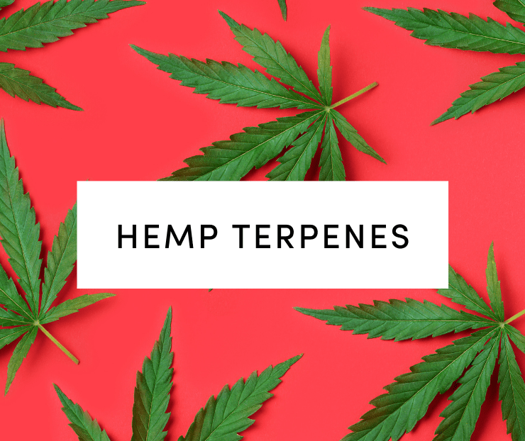 hemp terpenes