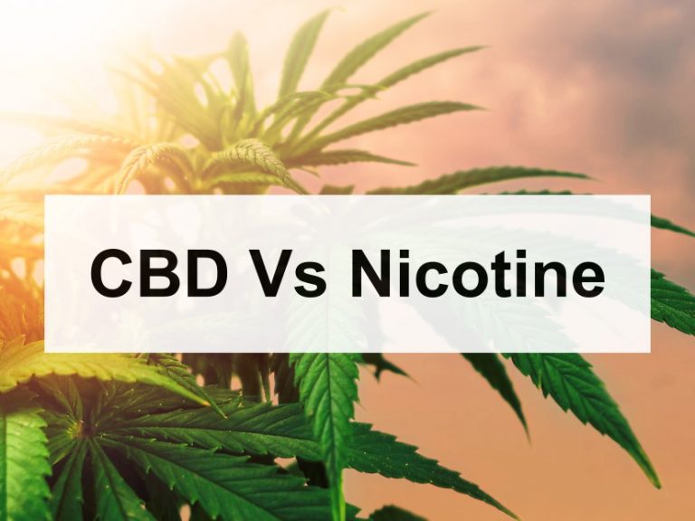 cbd vs nicotine