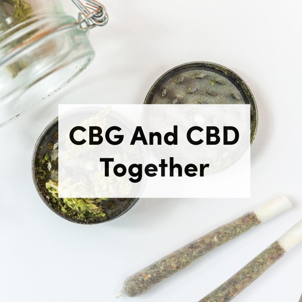 CBG vs CBD