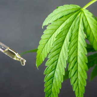 CBDA To CBD Conversion - hemp plant with CBDA inside beside a dropper full of CBD