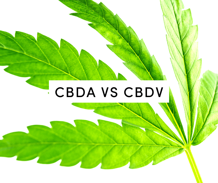cbda vs cbdv