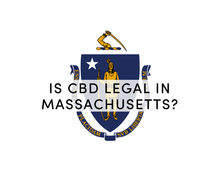 cbd in massachusetts