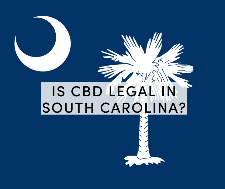 cbd in south carolina