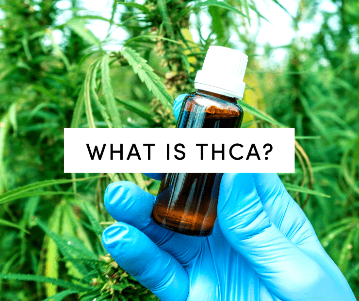 what is thca