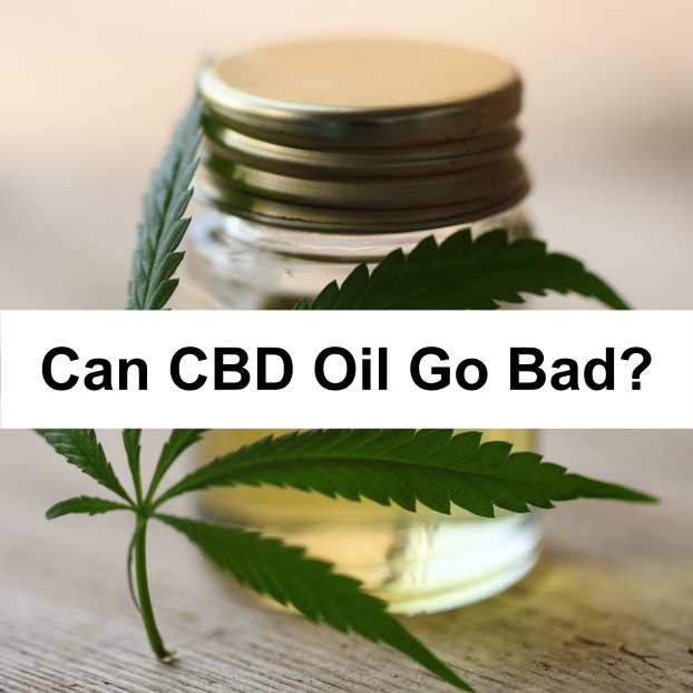 Can CBD Oil Go Bad?