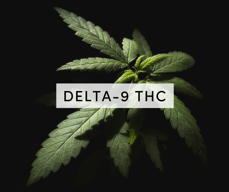 delta 9 thc