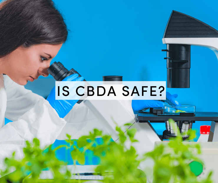 is cbda safe