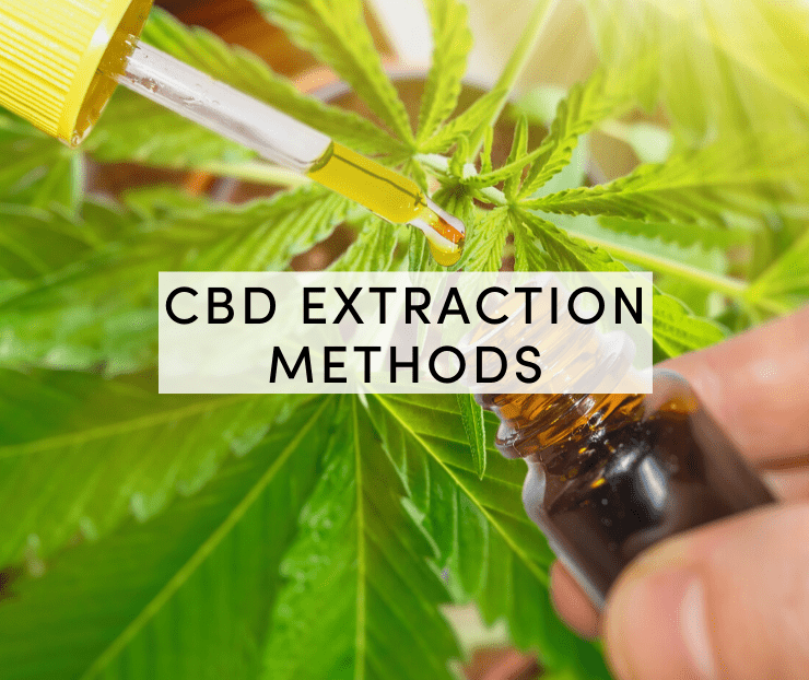 cbd extraction methods