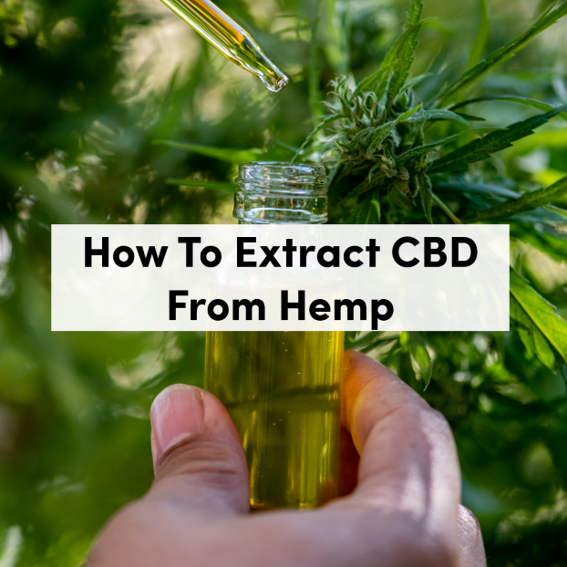 How To Extract CBD From Hemp