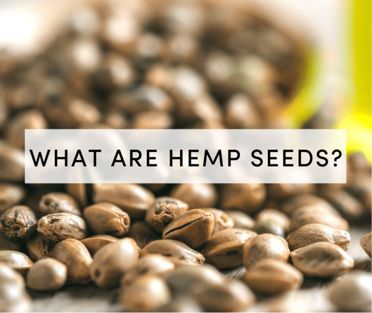what are hemp seeds