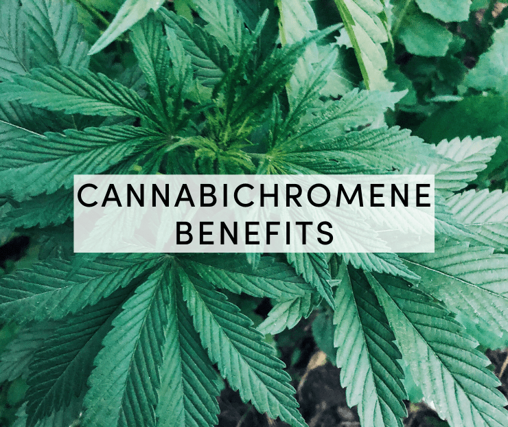 cannabichromene benefits