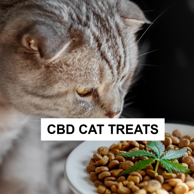 CBD Cat Treats