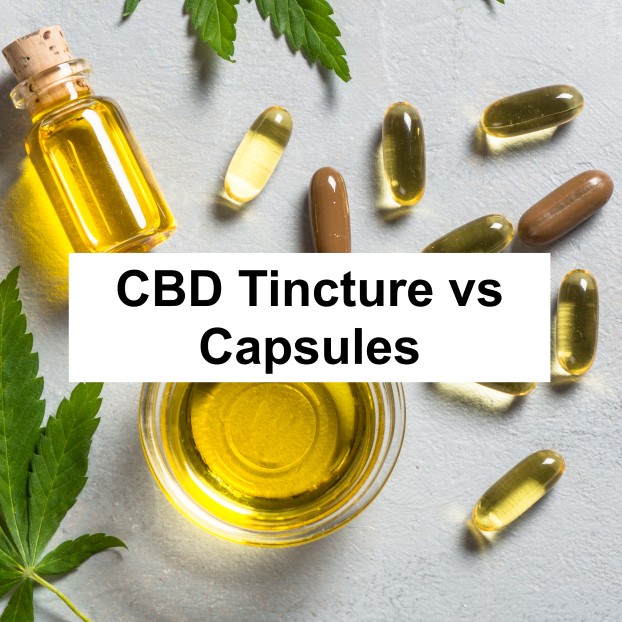 CBD Tincture Vs Capsules