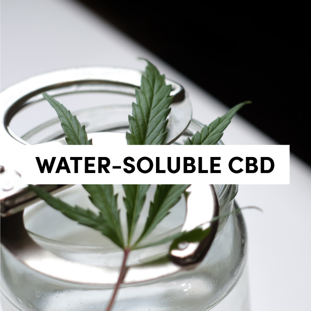 Water Soluble CBD