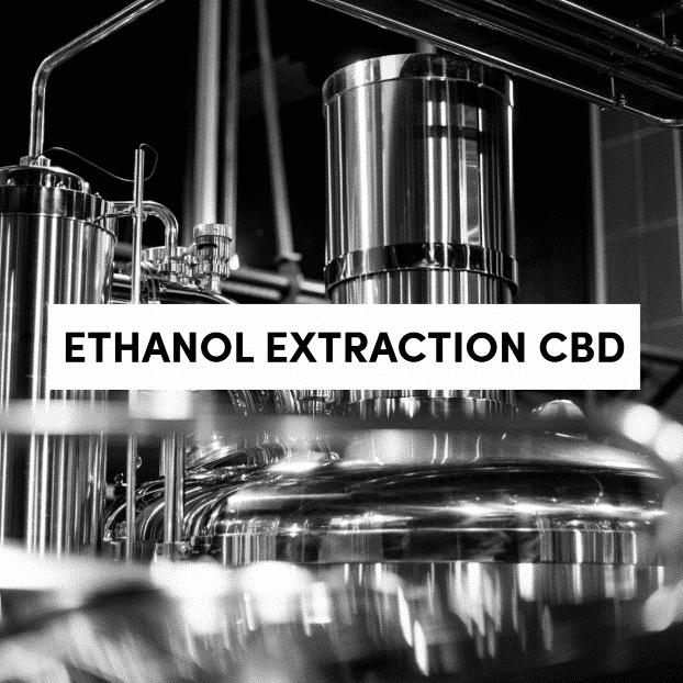 Ethanol Extraction CBD
