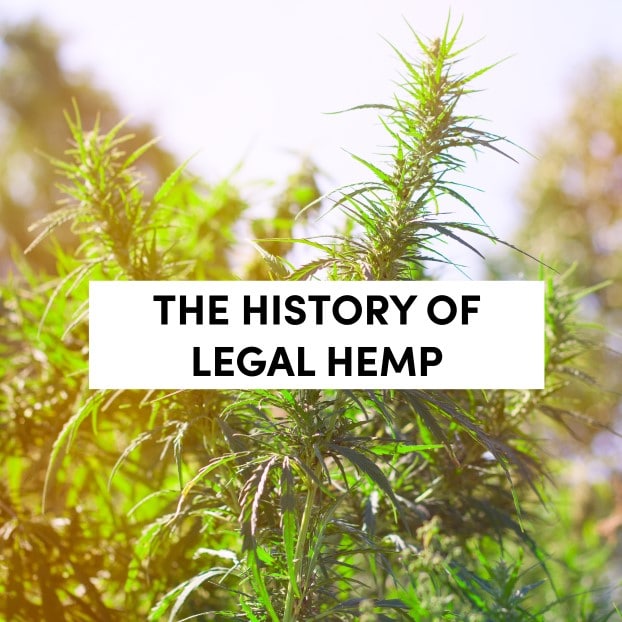 Legal Hemp