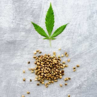 Hemp Seed Powder