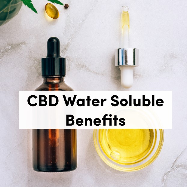 CBD Water Soluble Benefits