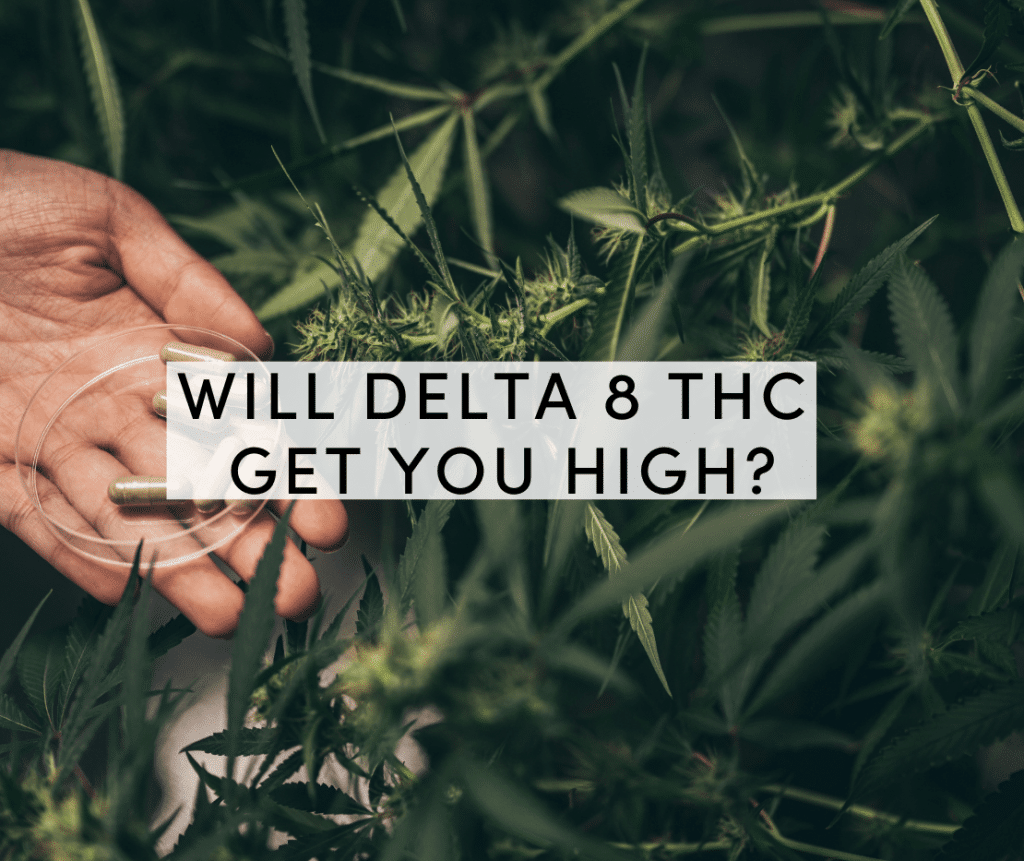 delta 8 get you high
