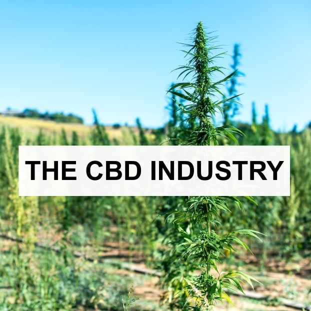 CBD Industry