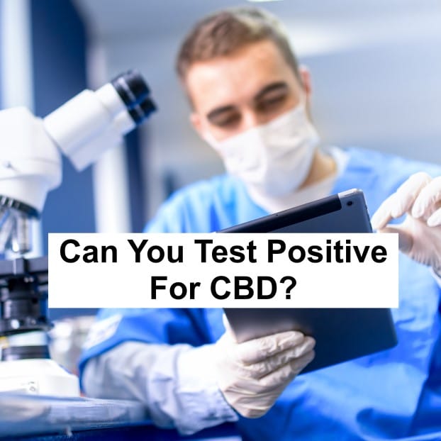 Can You Test Positive For CBD