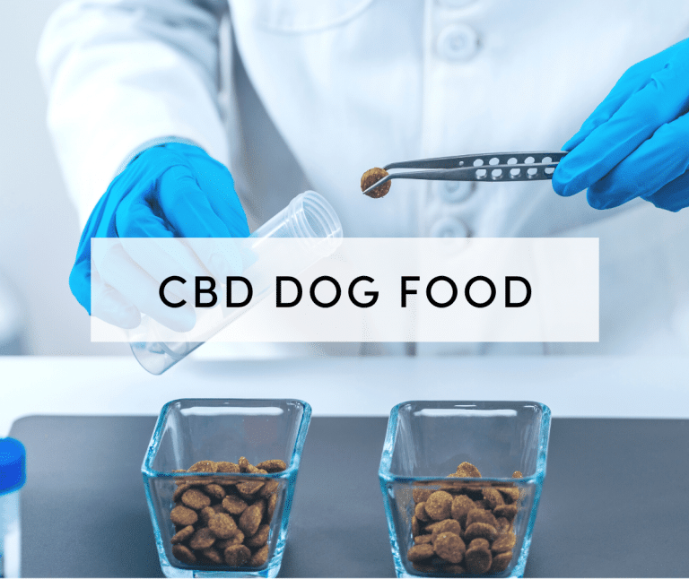 cbd dog food