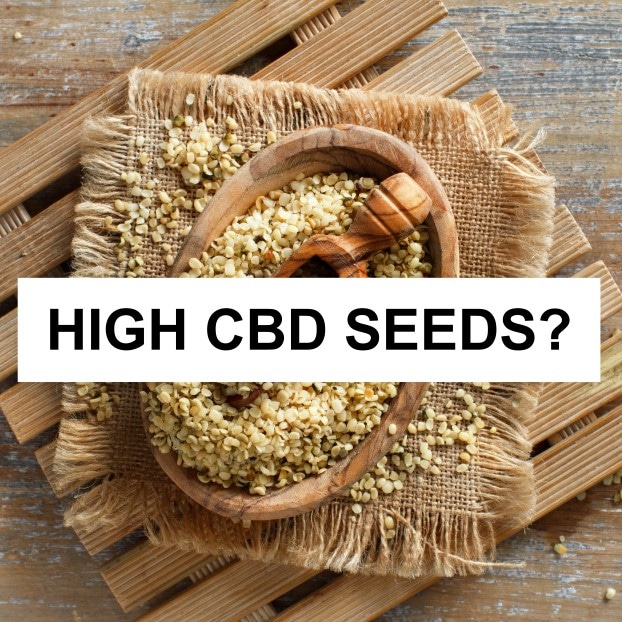 High CBD Seeds